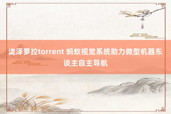 泷泽萝拉torrent 蚂蚁视觉系统助力微型机器东谈主自主导航