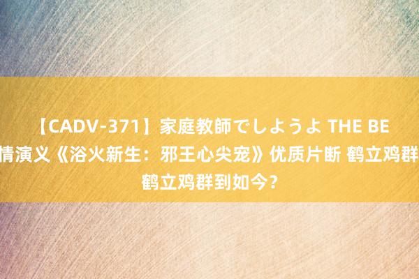 【CADV-371】家庭教師でしようよ THE BEST 2 言情演义《浴火新生：邪王心尖宠》优质片断 鹤立鸡群到如今？