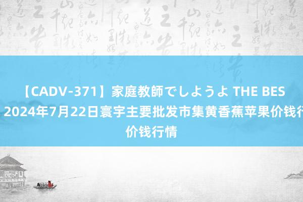 【CADV-371】家庭教師でしようよ THE BEST 2 2024年7月22日寰宇主要批发市集黄香蕉苹果价钱行情