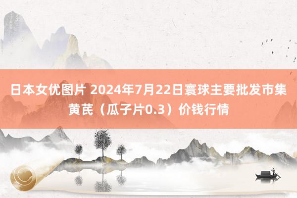 日本女优图片 2024年7月22日寰球主要批发市集黄芪（瓜子片0.3）价钱行情