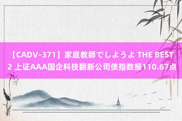 【CADV-371】家庭教師でしようよ THE BEST 2 上证AAA国企科技翻新公司债指数报110.67点