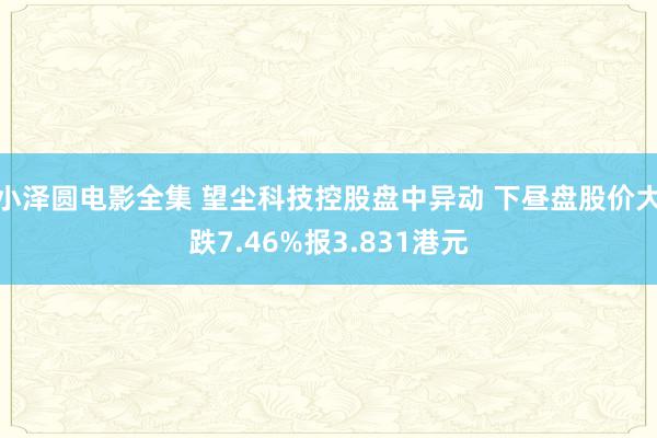 小泽圆电影全集 望尘科技控股盘中异动 下昼盘股价大跌7.46%报3.831港元