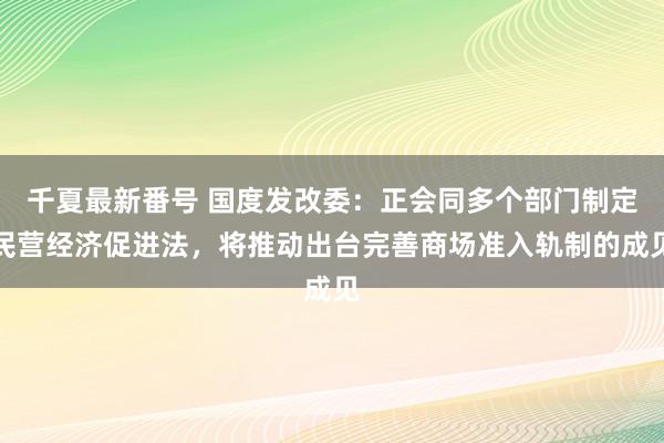 千夏最新番号 国度发改委：正会同多个部门制定民营经济促进法，将推动出台完善商场准入轨制的成见