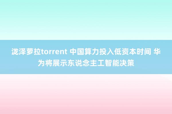 泷泽萝拉torrent 中国算力投入低资本时间 华为将展示东说念主工智能决策