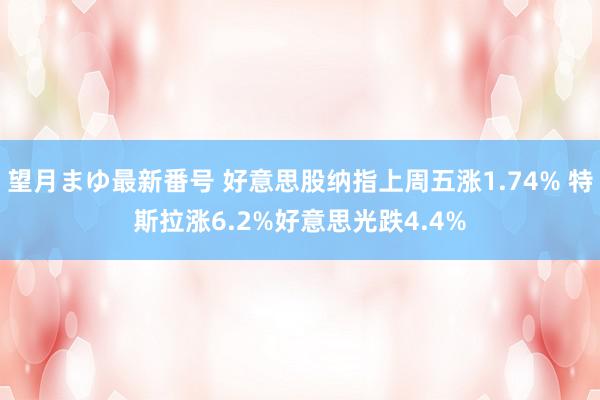 望月まゆ最新番号 好意思股纳指上周五涨1.74% 特斯拉涨6.2%好意思光跌4.4%