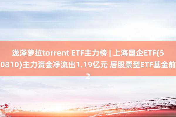 泷泽萝拉torrent ETF主力榜 | 上海国企ETF(510810)主力资金净流出1.19亿元 居股票型ETF基金前2