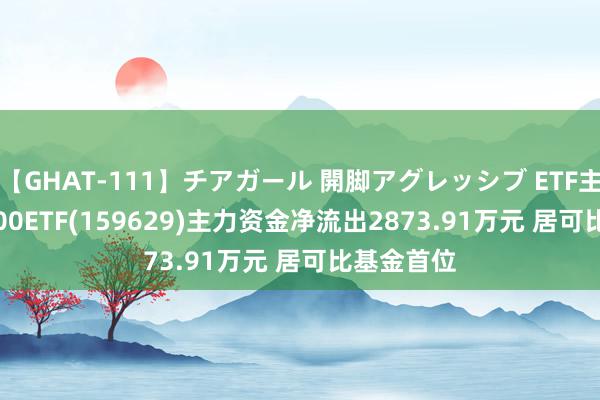 【GHAT-111】チアガール 開脚アグレッシブ ETF主力榜 | 1000ETF(159629)主力资金净流出2873.91万元 居可比基金首位