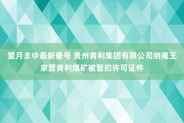 望月まゆ最新番号 贵州青利集团有限公司纳雍王家营青利煤矿被暂扣许可证件