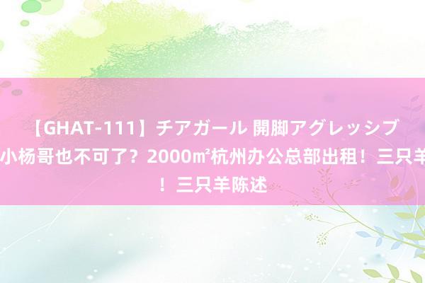 【GHAT-111】チアガール 開脚アグレッシブ 豪恣小杨哥也不可了？2000㎡杭州办公总部出租！三只羊陈述