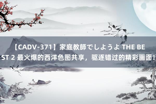 【CADV-371】家庭教師でしようよ THE BEST 2 最火爆的西洋色图共享，驱逐错过的精彩画面！