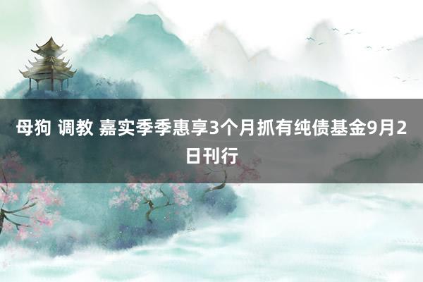 母狗 调教 嘉实季季惠享3个月抓有纯债基金9月2日刊行