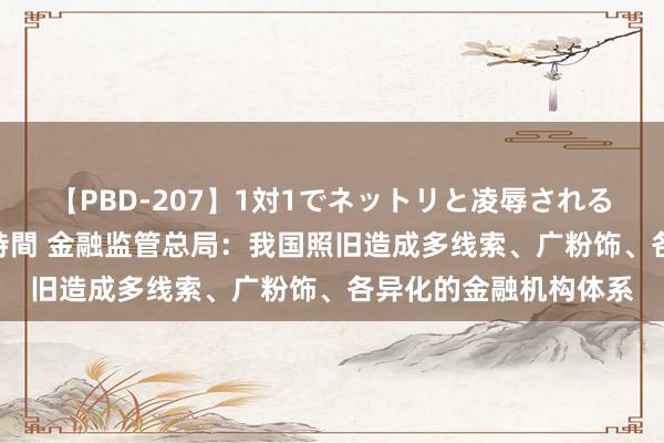 【PBD-207】1対1でネットリと凌辱されるプレミア女優たち 8時間 金融监管总局：我国照旧造成多线索、广粉饰、各异化的金融机构体系