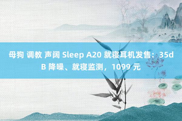 母狗 调教 声阔 Sleep A20 就寝耳机发售：35dB 降噪、就寝监测，1099 元