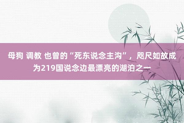 母狗 调教 也曾的“死东说念主沟”，咫尺如故成为219国说念边最漂亮的湖泊之一