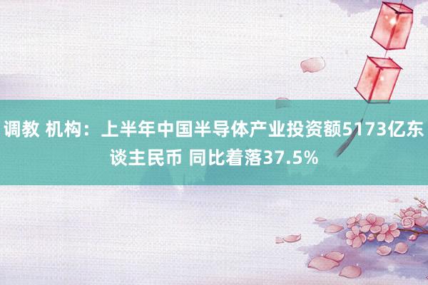 调教 机构：上半年中国半导体产业投资额5173亿东谈主民币 同比着落37.5%