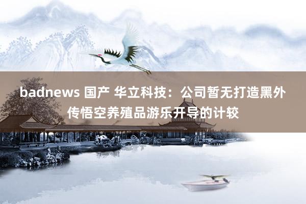 badnews 国产 华立科技：公司暂无打造黑外传悟空养殖品游乐开导的计较