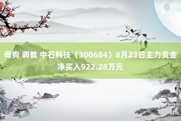 母狗 调教 中石科技（300684）8月23日主力资金净买入922.28万元