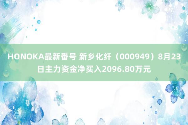 HONOKA最新番号 新乡化纤（000949）8月23日主力资金净买入2096.80万元