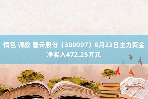 情色 调教 智云股份（300097）8月23日主力资金净买入472.25万元