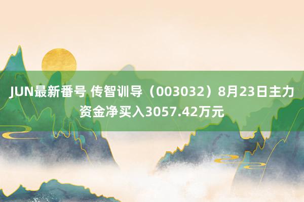 JUN最新番号 传智训导（003032）8月23日主力资金净买入3057.42万元