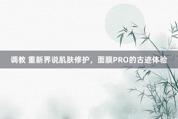 调教 重新界说肌肤修护，面膜PRO的古迹体验