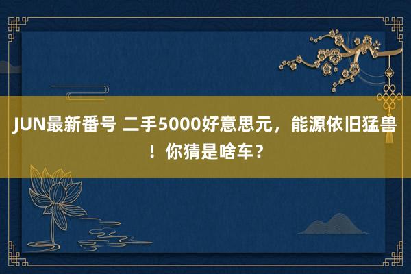 JUN最新番号 二手5000好意思元，能源依旧猛兽！你猜是啥车？