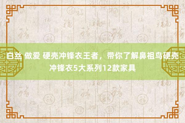 白丝 做爱 硬壳冲锋衣王者，带你了解鼻祖鸟硬壳冲锋衣5大系列12款家具